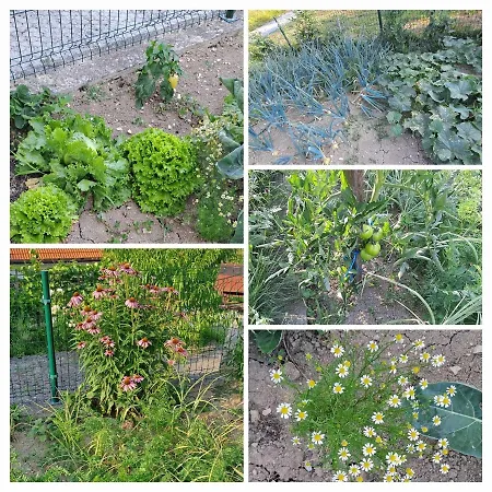 Apartmaji Pri Ajheci Pristava pri Mestinju