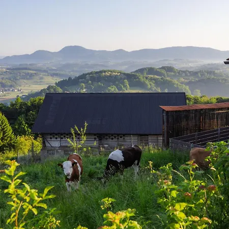 Apartma Pri Ajheci Apartamento *