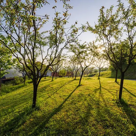 Apartma Pri Ajheci Apartamento *