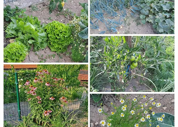 Apartma Pri Ajheci Pristava pri Mestinju