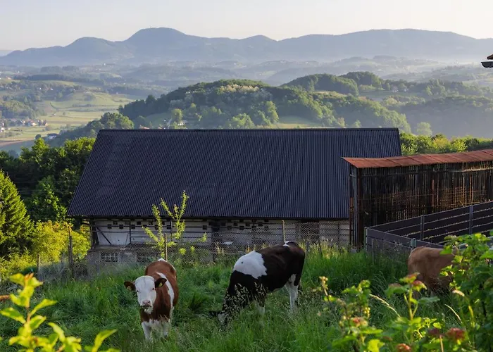 Apartma Pri Ajheci Apartment *