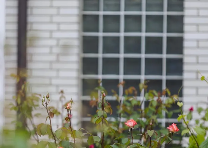 Apartma Pri Ajheci * Pristava pri Mestinju