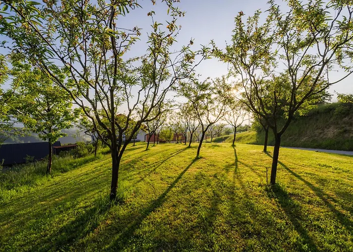 Apartma Pri Ajheci Apartamento *